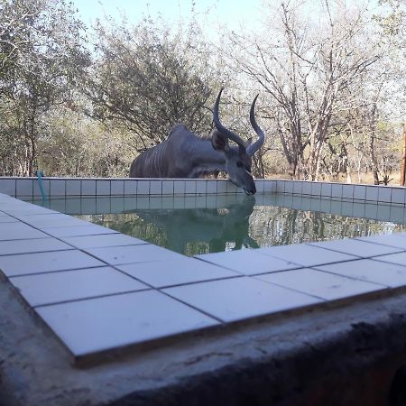 Eagle'S Crest Villa Marloth Park Exteriör bild