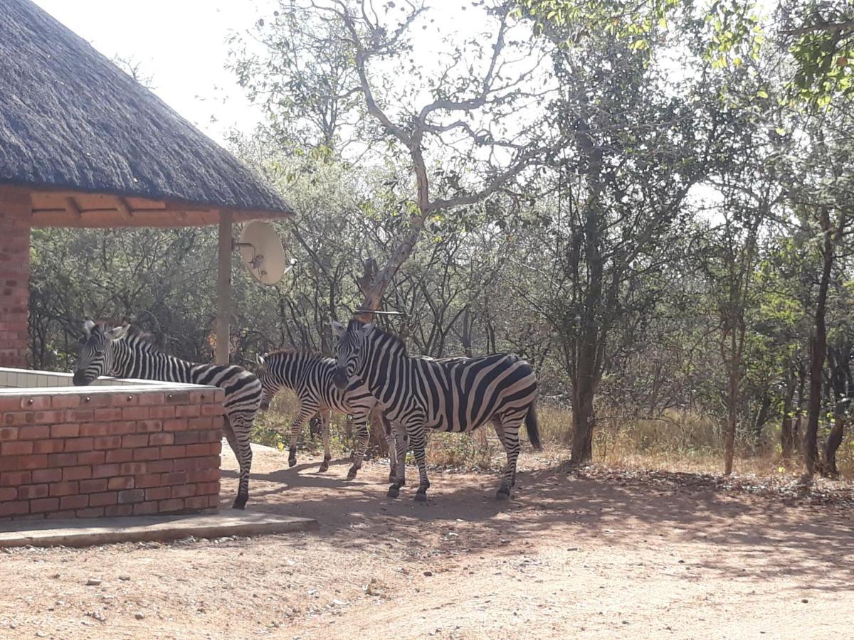 Eagle'S Crest Villa Marloth Park Exteriör bild