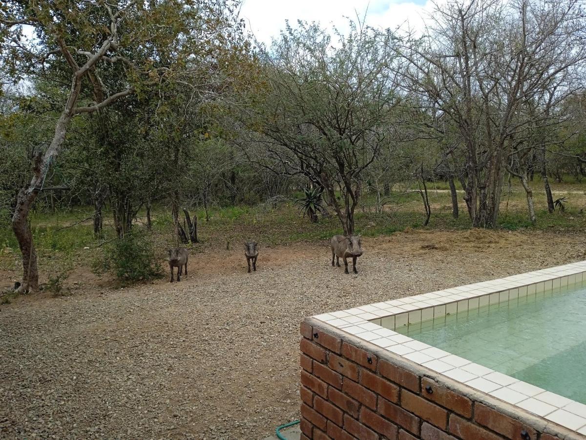Eagle'S Crest Villa Marloth Park Exteriör bild