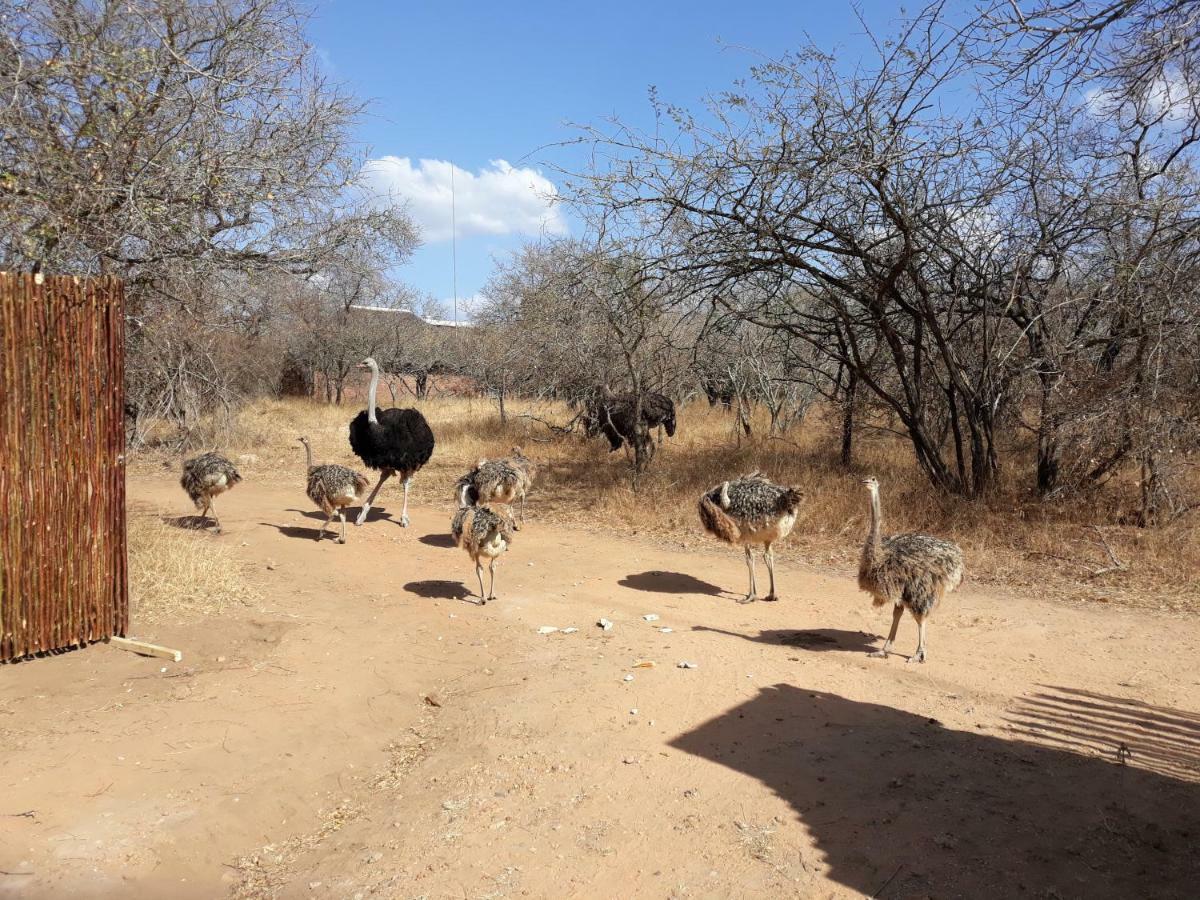 Eagle'S Crest Villa Marloth Park Exteriör bild
